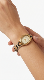 WILDCAT WATCH / LEOPARD